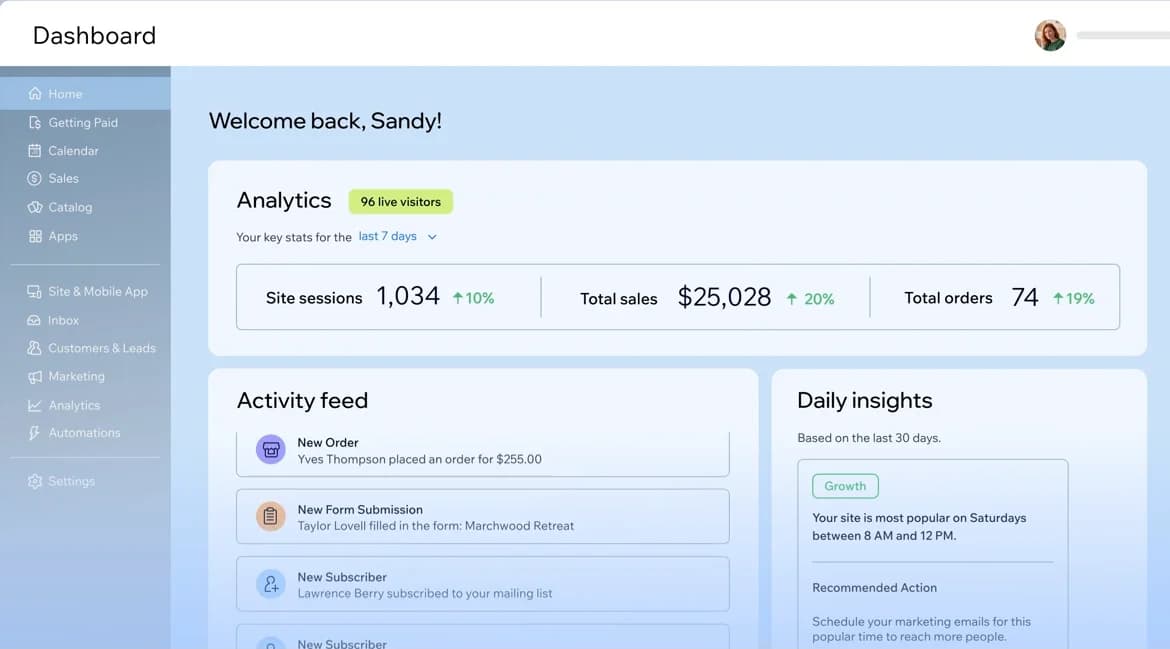 Wix dashboard showing site analytics, an activity feed, and daily insights